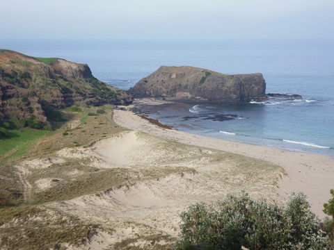 Bushrangers Bay - Stays Accommodation 2