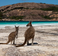 Cape Le Grand National Park - Stayed