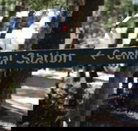 Central Station - Stayed