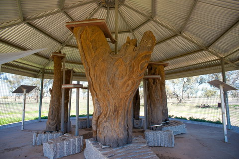 Collymongle Carved Trees - Stayed 2