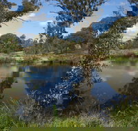 Cooleman Ridge - Stayed