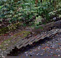 Coombadjha Nature Stroll - Stayed