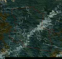 Dingo Forest - Stays Accommodation