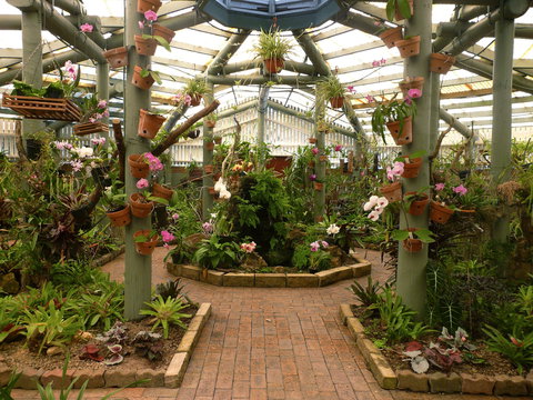 Family Fun In Mackay City - Stayed 1