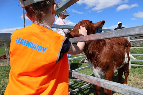 Farm Visit  Dungog - Stayed 0