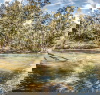 Flea Creek Picnic Area - Stayed
