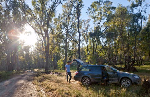 Forest Drive, Murrumbidgee Valley National Park - Stayed 0