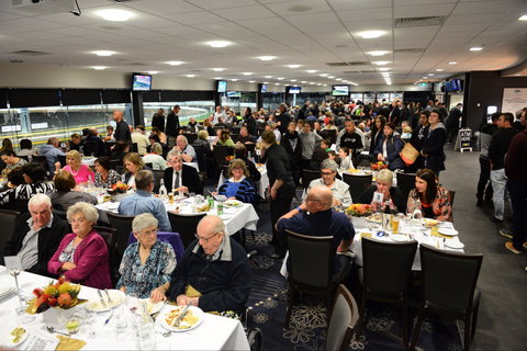 Geelong Greyhound Racing Club - The Beckley Centre - Stayed 1