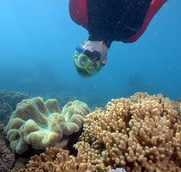 Geoffrey Bay Snorkel Trail - Stayed