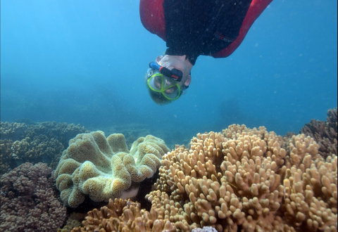 Geoffrey Bay Snorkel Trail - Stayed 0