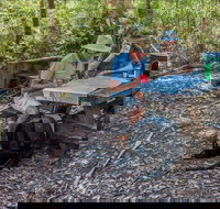 George Boyd picnic area - Stayed