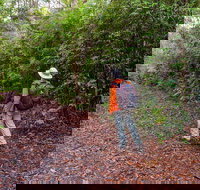 Gibraltar-Washpool World Heritage Walk - Stayed