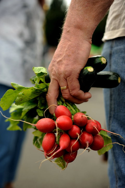 Harvest Launceston Community Farmers' Market - Stayed 1