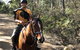 Horse Riding Tasmania - thumb 2