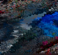 Hutchinson Shoal Dive Site - Stayed