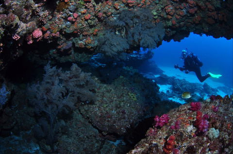 Hutchinson Shoal Dive Site - Stayed 0