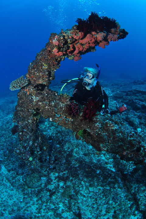 Hutchinson Shoal Dive Site - Stayed 1