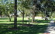 Inglewood Apex-Lions Park - thumb 0