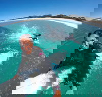 Janie's Corner - Stayed