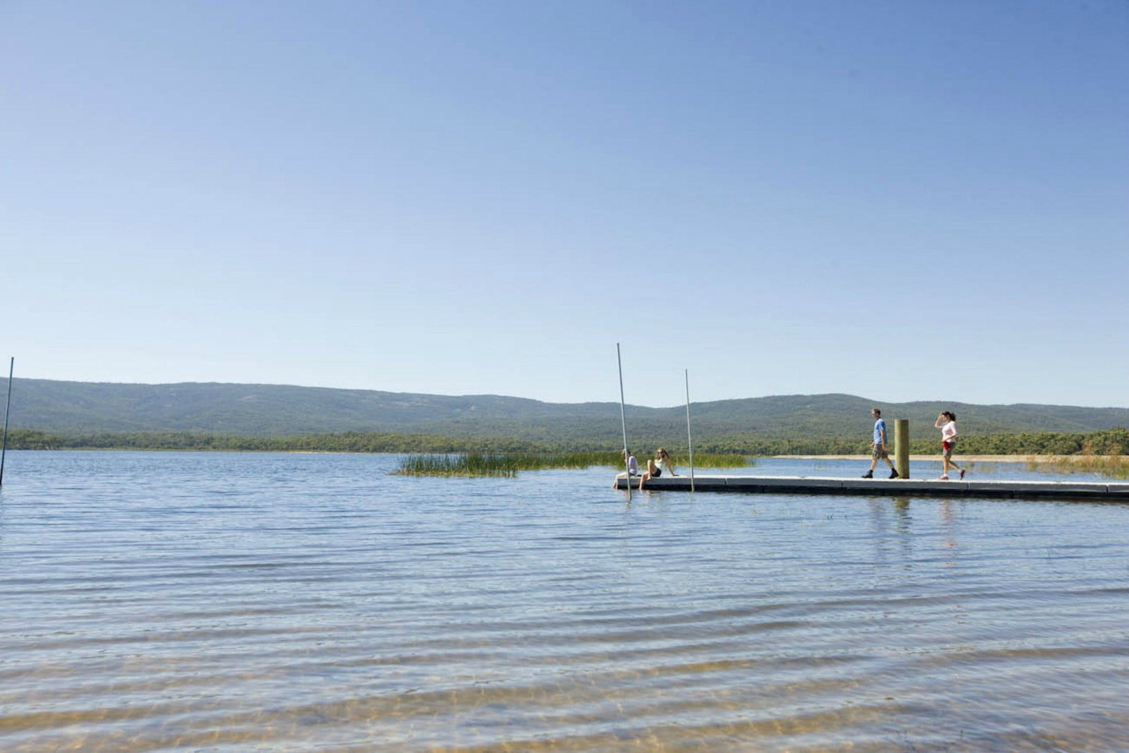 Zumsteins VIC Stayed