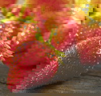 Lambs Valley - Stayed