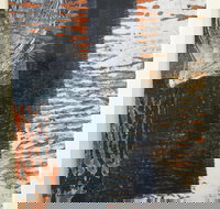 Lighthouse View - Stayed