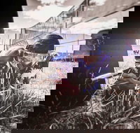 Luddenham Raceway Paintball - Stayed