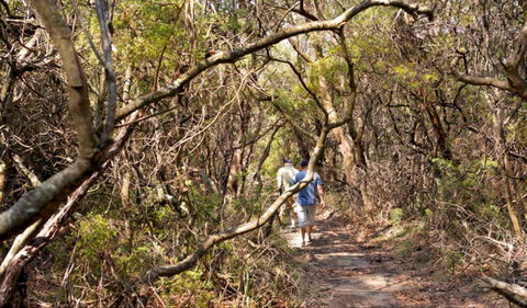 Lyrebird Dell Walking Track - Stayed 0