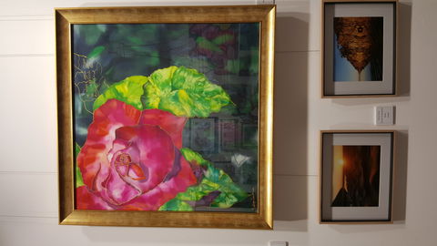 Macleay Valley Community Art Gallery - Stayed 0