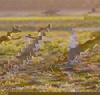 Mary River Area - Stayed