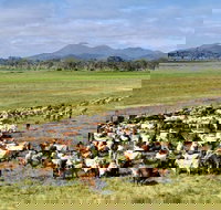 Marlborough - Stayed