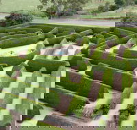Mintaro Maze - Stayed
