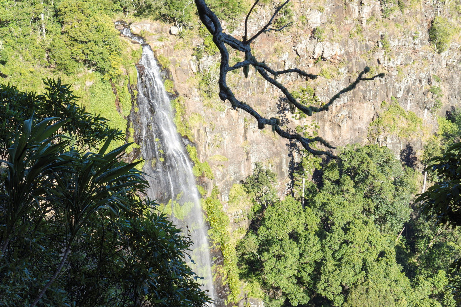 Gold Coast Hinterland QLD Stays Accommodation