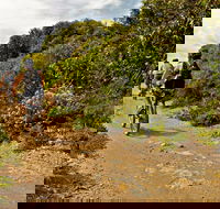 Mountain Biking Trails - Stayed