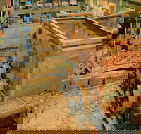 Mountain Maid gold mine - Stays Accommodation