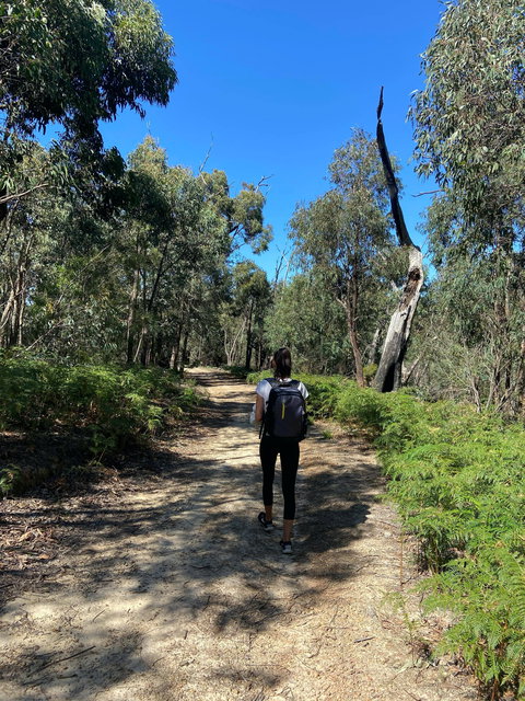 Mt Everard Circuit - Stayed 0