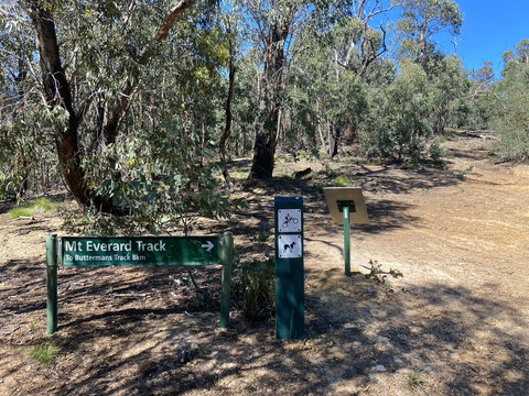 Mt Everard Circuit - Stayed 1