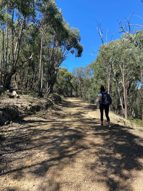 Mt Everard Circuit - Stayed 2