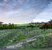 Nature and Foodies Trail - Stayed