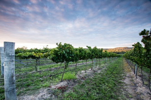 Nature And Foodies Trail - Stayed 0