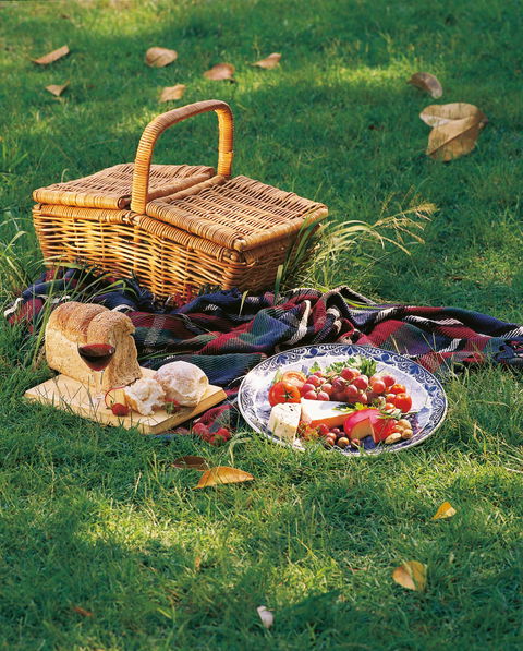 Nature And Foodies Trail - Stayed 2