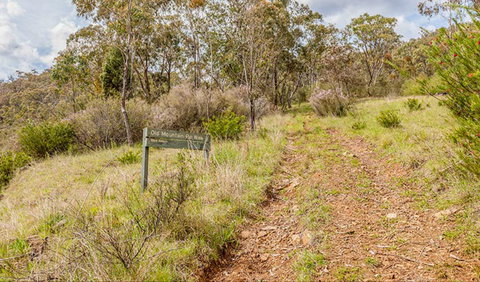 Old Mountain Road Walking Track - Stayed 0