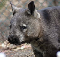 Peel Zoo