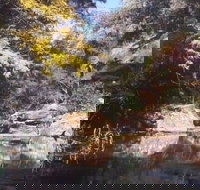 Pheasants Nest - Stayed