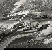 Pioneer Park - Stayed