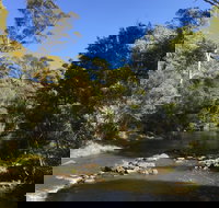 Pipers River Board Walk - Stayed