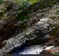 Potoroo Falls walk - Stays Accommodation