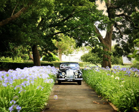 Queens Park, Toowoomba - Stayed 2