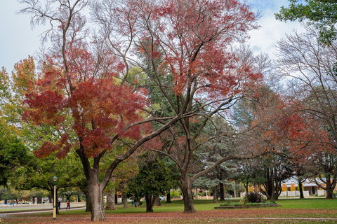 Queanbeyan Central Park - Stayed 1