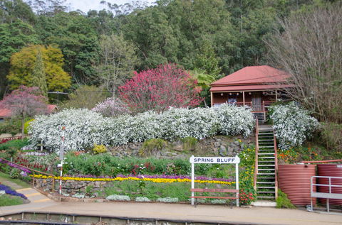 Spring Bluff Railway Station - Stayed 1